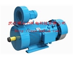 YZRDW塔吊渦流制動電機