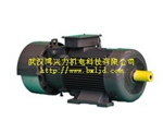 YZRW渦流制動繞線轉子電機