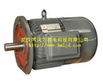 YDEJ/YEJ塔吊變幅電磁制動電機